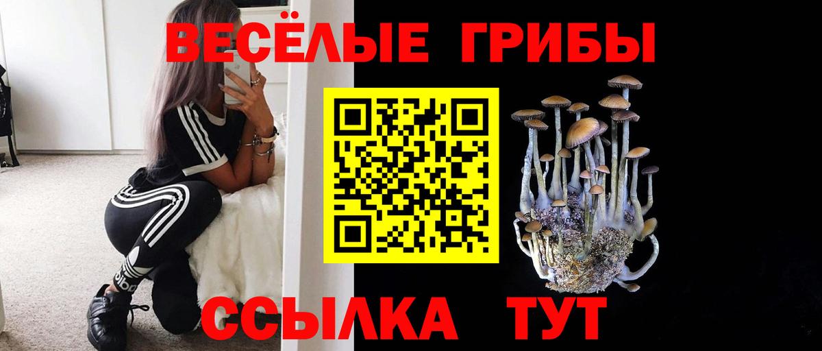 Кушва  Галлюциногенные грибы Psilocybe  Вход с VPN  купить закладку  Галлюциногенные грибы Psilocybine cubensis 